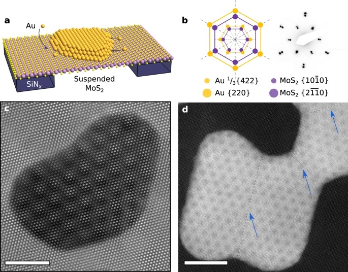 Direct imaging and electronic structure modulation of moiré superlattices at the 2D/3D interface