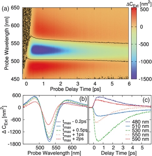 Experimental and Ab Initio Ultrafast Carrier Dynamics in Plasmonic Nanoparticles