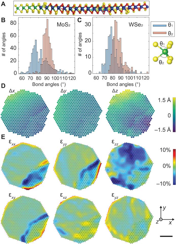 Capturing 3D atomic defects and phonon localization at the 2D heterostructure interface
